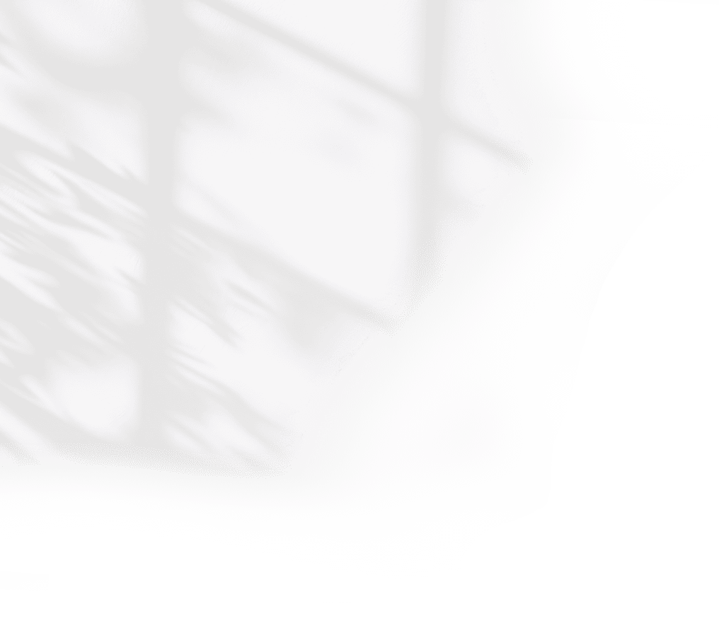 木漏れ日影
